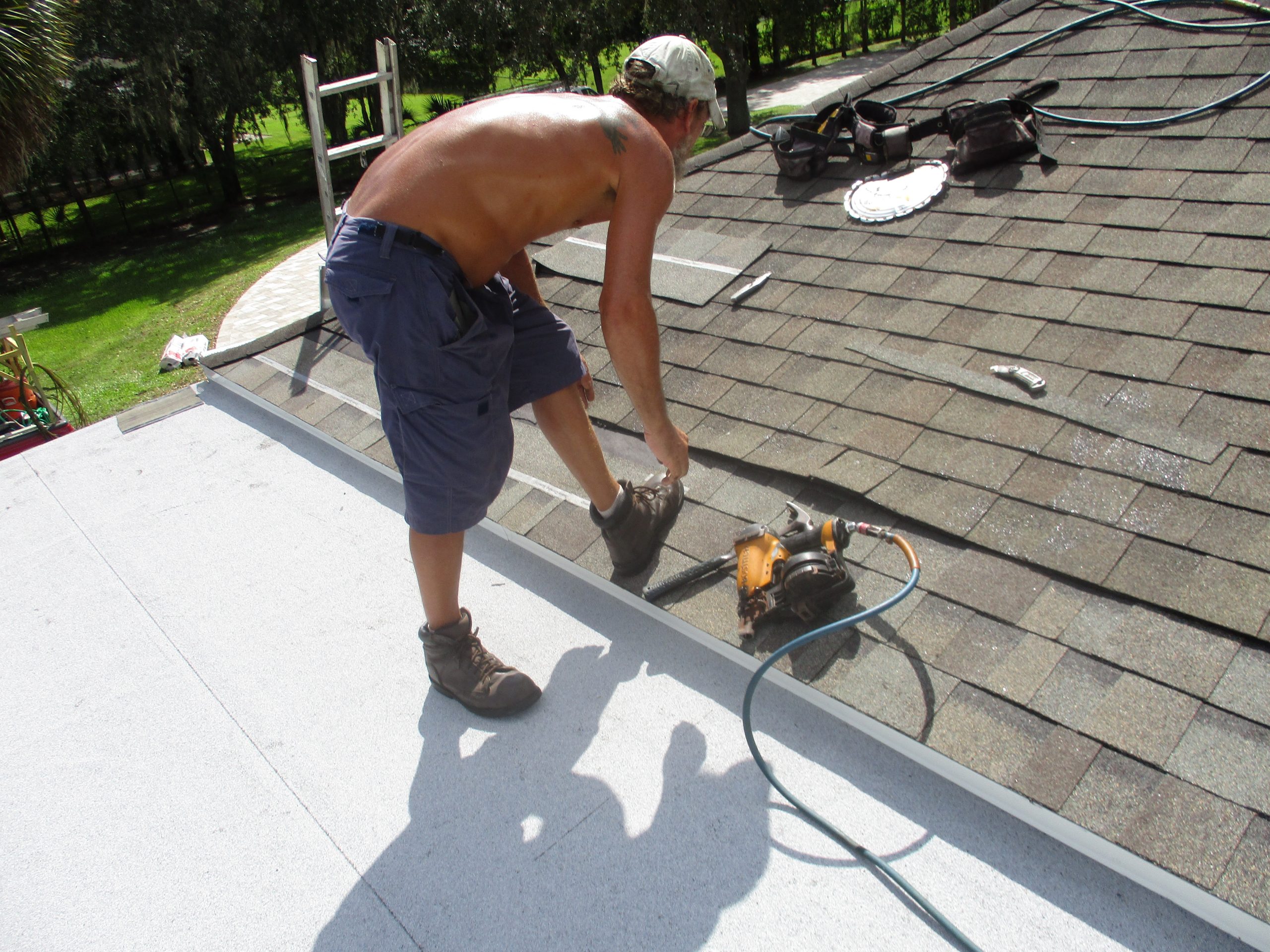 Roof Repairs project photo 6 by Ralph Carpenter Roofing